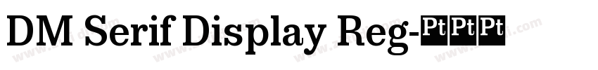 DM Serif Display Reg字体转换 DM Serif Display Reg字体转换